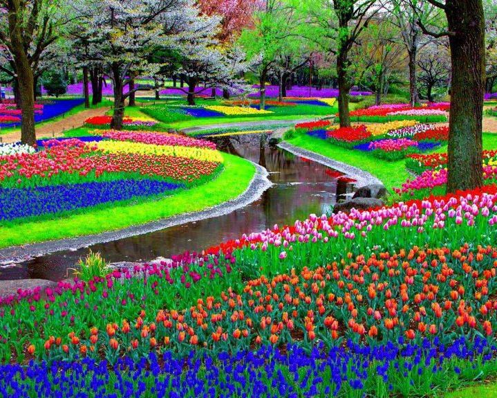 Keukenhof-Lisse-Pays-Bas