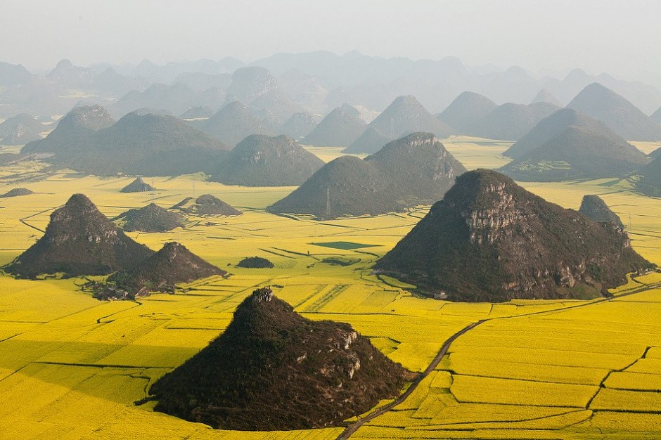 champs-de-fleurs-de-canola-Yunnan-Chine