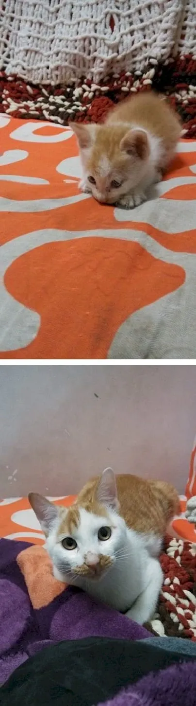 Reddit
