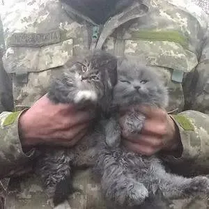 27_clichés_touchants_de_soldats-22