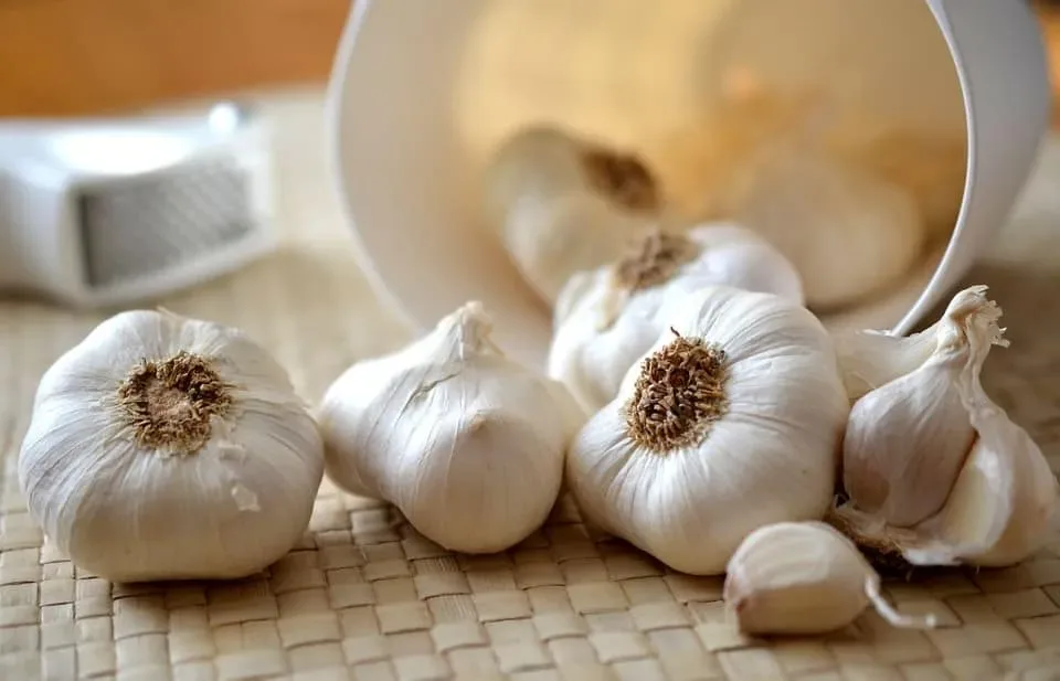 10 aliments qui débouchent vos 03