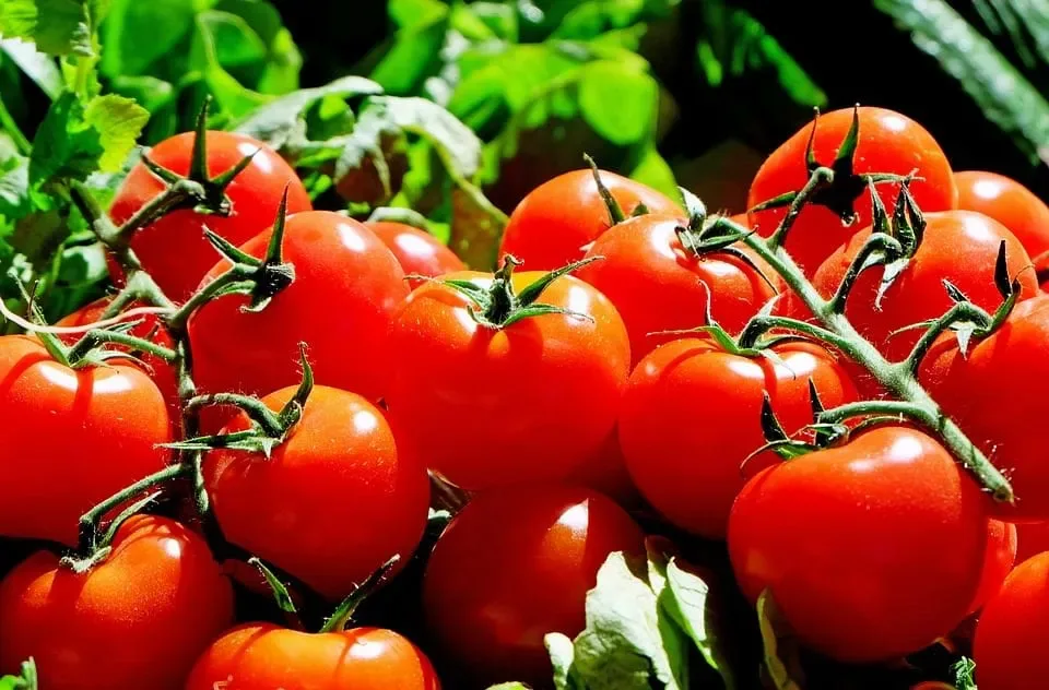 10 aliments qui débouchent vos 06