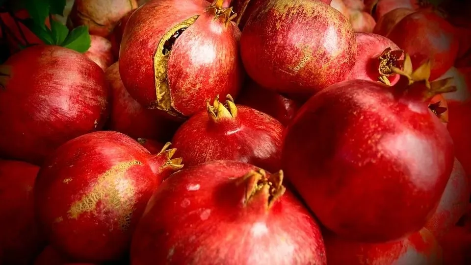 10 aliments qui débouchent vos 08