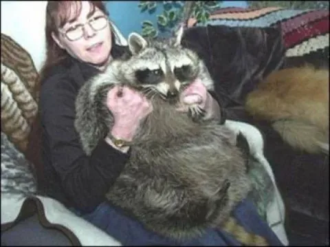 14_des_plus_gros_animaux-11