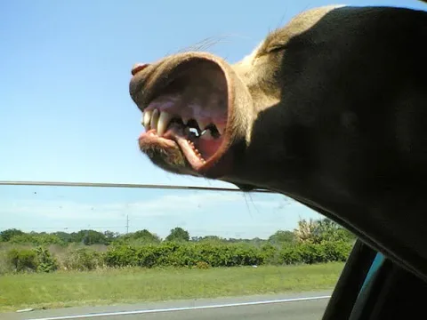 1412