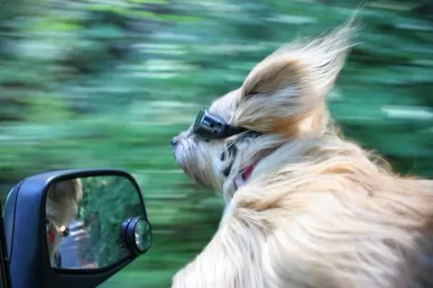 167