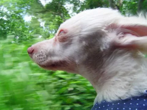321