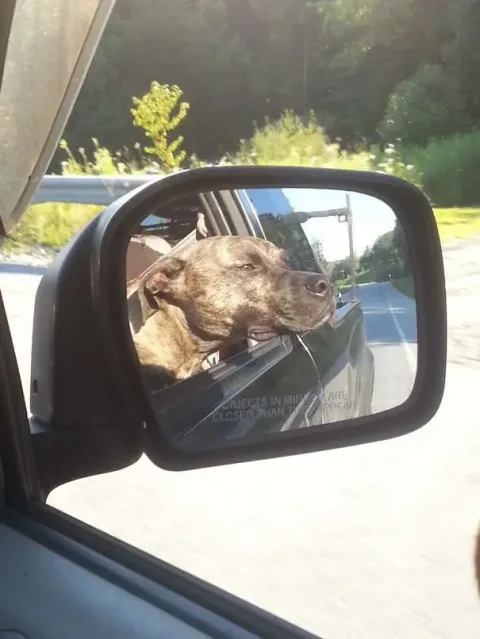 519