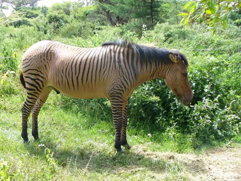 (Image credits: panoramio.com