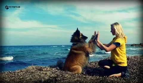 14 20 essential dog facts