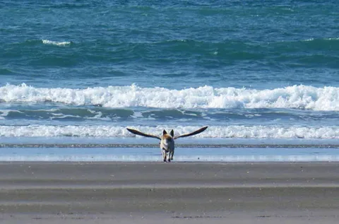 1118