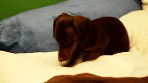 tehcute.com