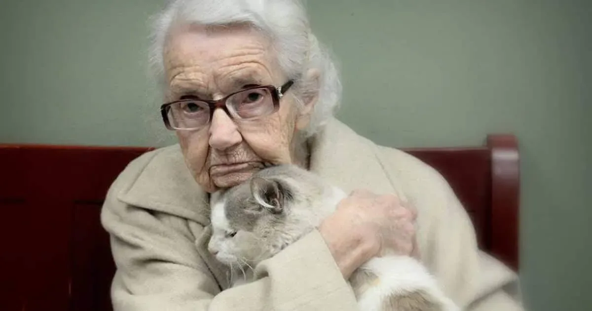 26 chats âgés adoptés par des gens aux grands cœurs