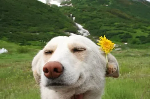 192
