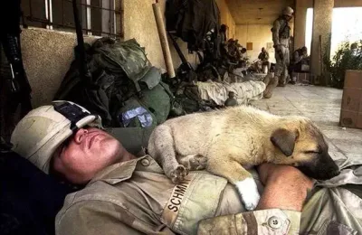 27 clichés touchants de soldats et des animaux qu’ils ont rencontrés durant la guerre.