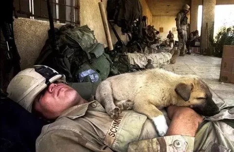 27_clichés_touchants_de_soldats-14