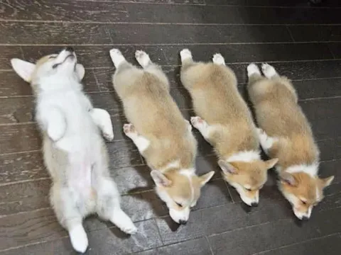 317