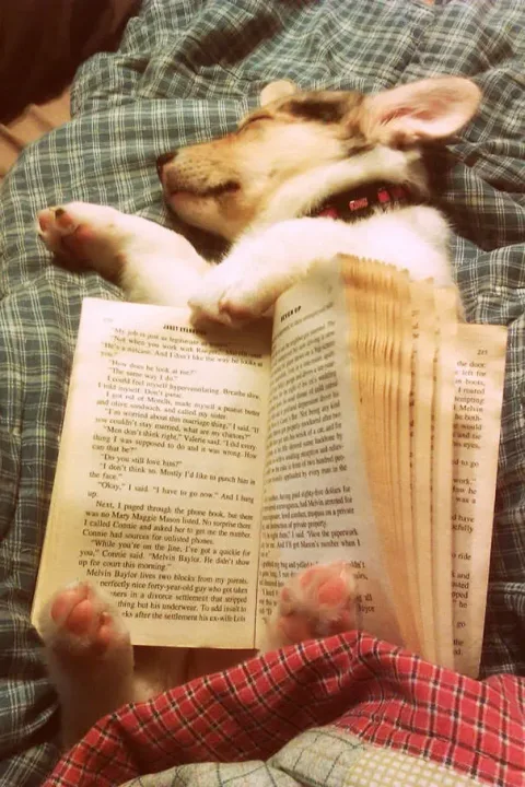 391