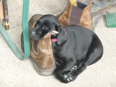 351