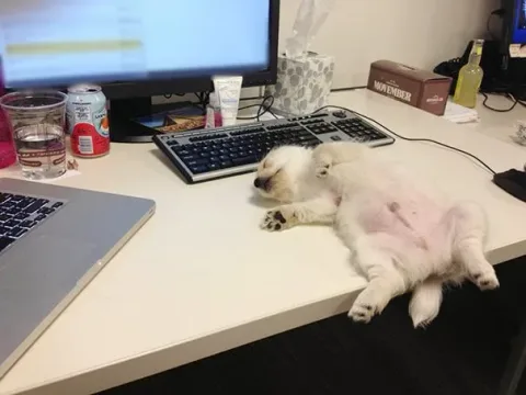 1111