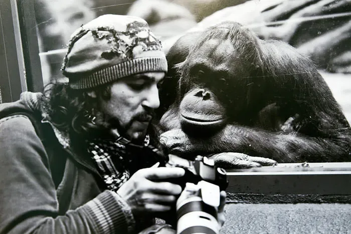 Photographes dejantes 2
