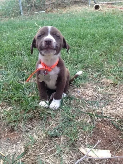 1418