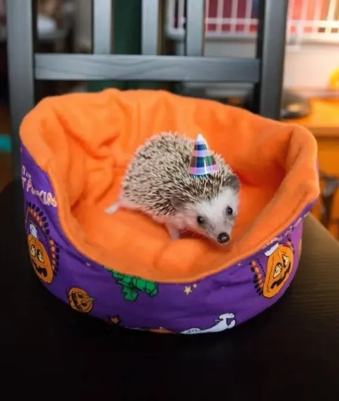 627