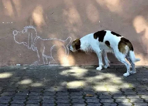 45 photos phenomenales prises 42