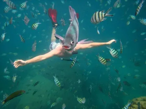 45 photos phenomenales prises 51