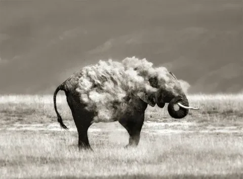 45 photos phenomenales prises 73
