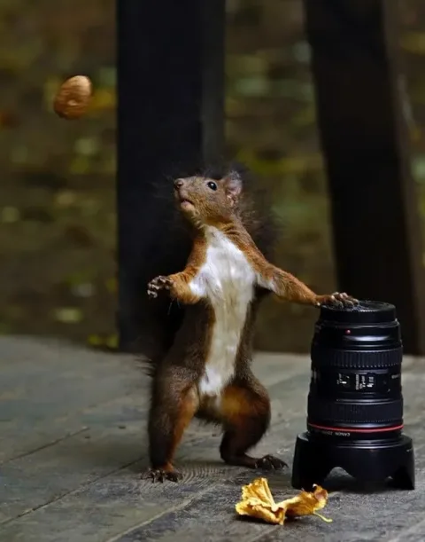 45 photos phenomenales prises 77
