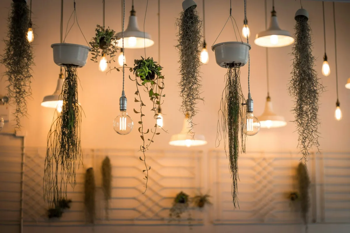 8 solutions économiques et faciles pour illuminer votre allée avant l’été avec LED, lanternes solaires et bornes lumineuses