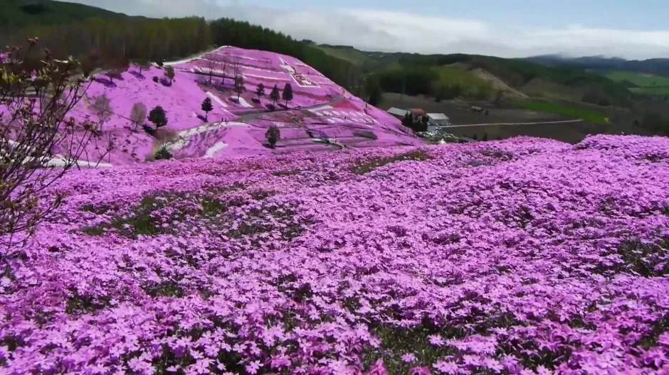 Takinoue park hokkaido japon