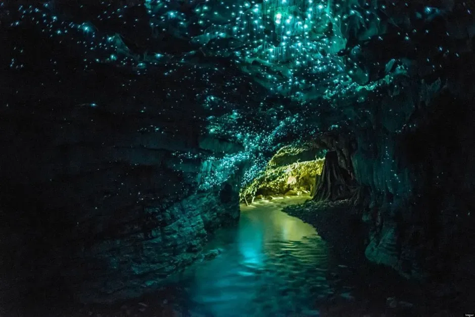 Waitomo caves nouvelle zélande