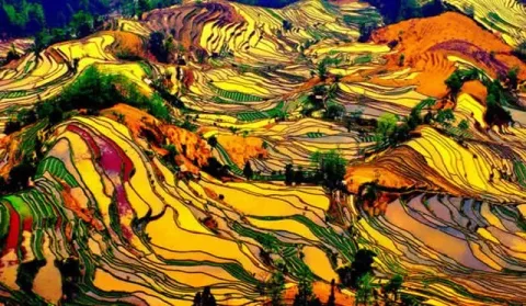 Rizières en terrasses guilin longji chine 640x480