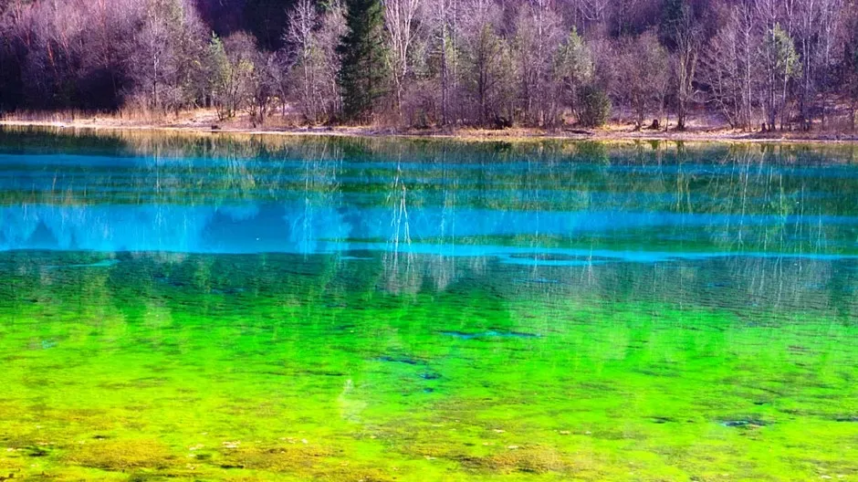 Cinq fleur de lac la vallée de jiuzhaigou la chine