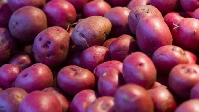 8 legumes que vous devriez 09