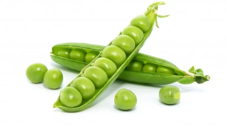 8 legumes que vous devriez 13