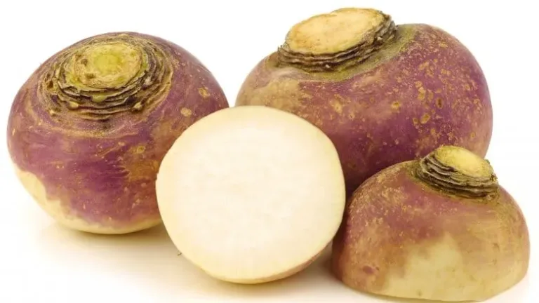 8 legumes que vous devriez 04