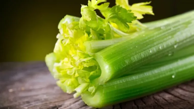 8 legumes que vous devriez 06