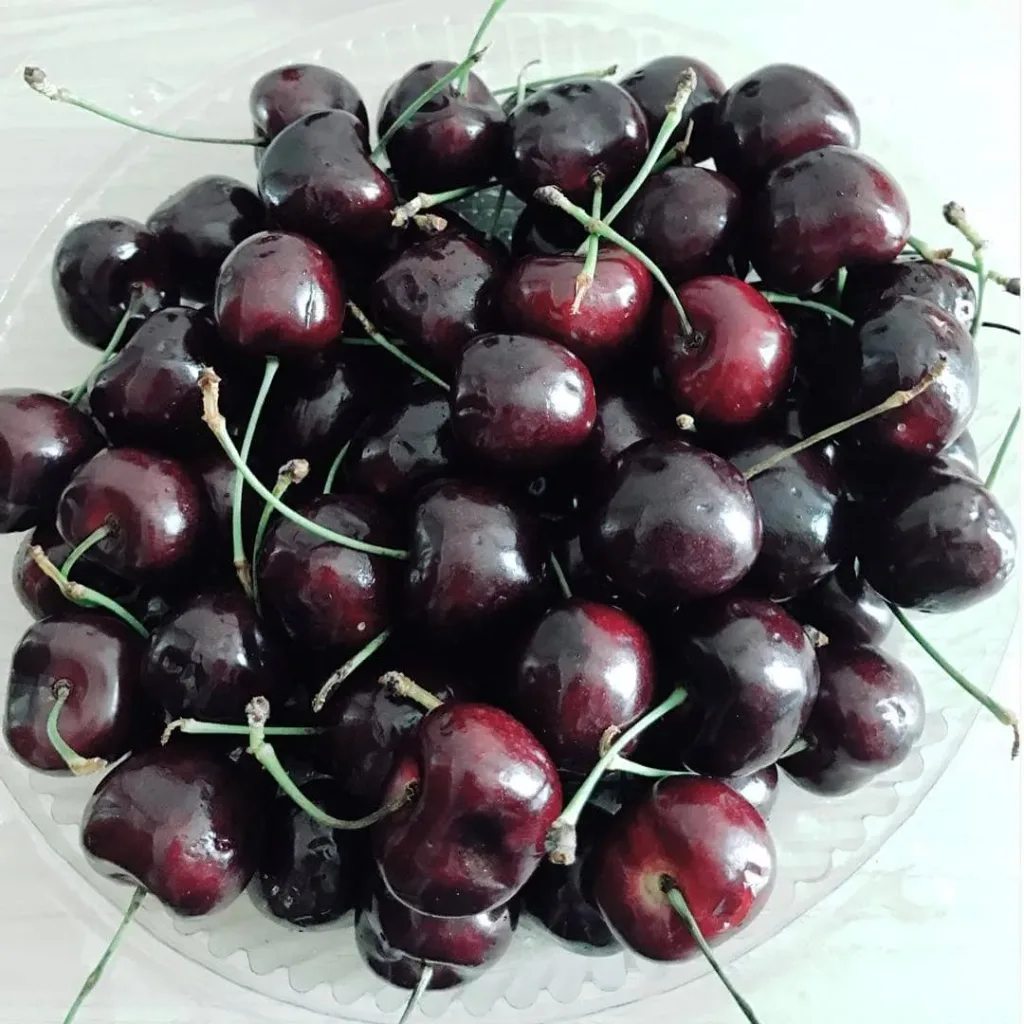 9 aliments qui peuvent vous 05s