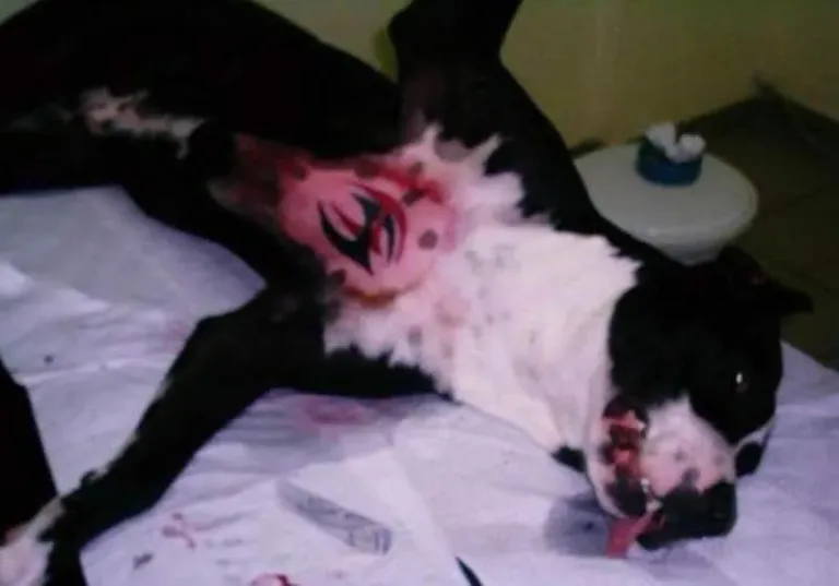 Dog tatoo 9
