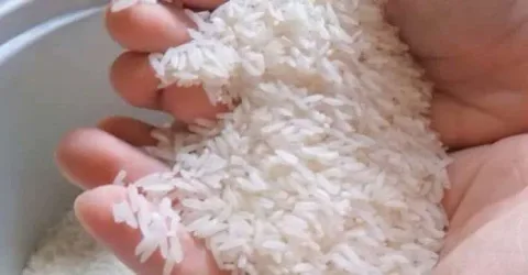 riz en plastique