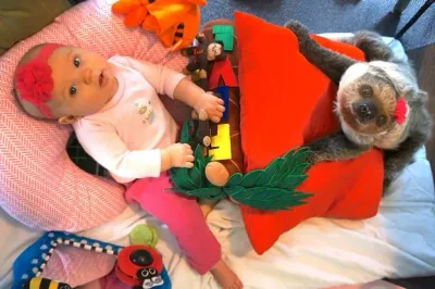Ce Bébé de 5 mois et ce paresseux sont les meilleurs amis du monde depuis la naissance