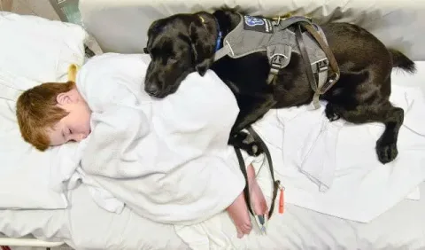 c/o Louise Goossens/Assistance Dogs New Zealand