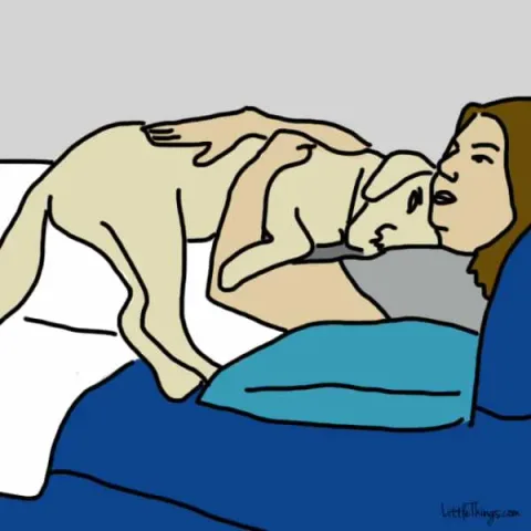 LittleThings / Maya Borenstein