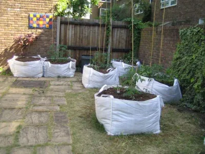 Comment créer un potager sur gravats ou terre pauvre : la technique express pour des légumes XXL