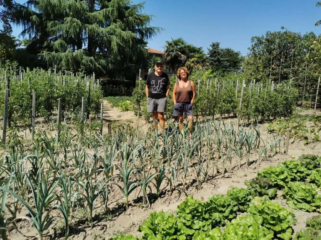Conseils pratiques pour entretenir et protéger votre potager XXL toute l'année