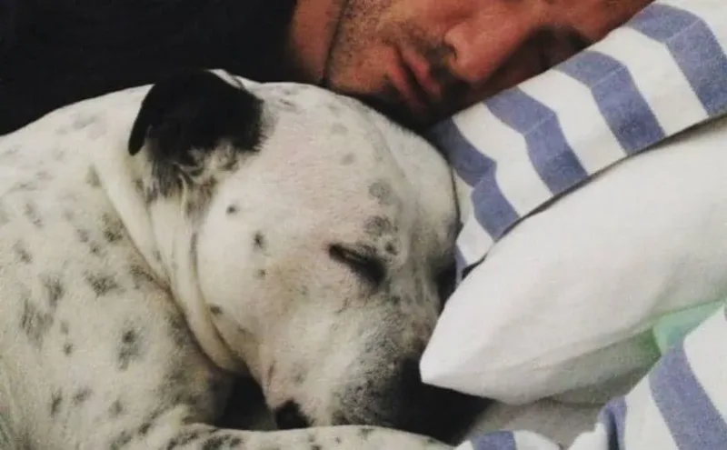 Comment un chien dans votre lit peut vous garantir une bonne nuit de sommeil