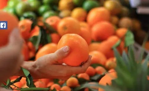 Des aliments qui nettoient naturellement 01